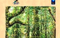 tienda-valoresdelbosque